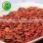 Raw Watermelon Seeds Wholesale