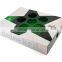 Glass Carrier Tray