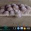 OAV2412 Real size dinosaur fossil egg for sale