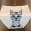Ice Silk Women Briefs Seamless Sexy 3D Print Cats Panties 01