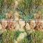 Mossy Oak water transfer printing hydrographics film,high quality , factory price