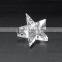 Slant crystal art&craft star paperweight