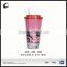 2015 starbucks mug factory supplier city mug18 oz clear plastic double wall mug