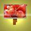 7 inch display with 40pin LVDS interface 1024x600 TFT LCD module WSVGA Landscape TFT LCD