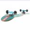 long plastic skateboard for sale kick board hamboards CE cetification