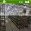 Multi-tier H type battery pullet chicken cage/Poultry chick cage