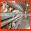 H type 5 tier poultry battery cages chicken battery cages for layers in zambia poultry farm