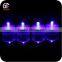 China Advertising Top Quality Colorful Led Liquid Activited Submersible Lights