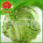 farm selling Chinese No rotten green cabbage