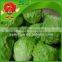 Yunnan Iceberg Lettuce Top Quality Leafy Vegetables fresh hydroponic Lettuce