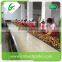 Shandong price of fresh ginger from ginger exporter