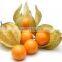BRC,KOSHER,HALAL frozen gooseberry
