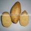 Yellow Skin Sweet Potato