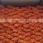 Professional china origin onion with low price