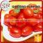 Hot selling sweet preserved dried cherry tomato