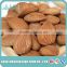 the lowest price of wholesale sweet apricot seeds, kernels, raw apricot seeds made in Zhangjiakou factory