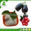 High quality hote sale npk17-17-17 with competitive price