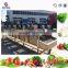 2017new product China factory industrial onion garlic ginger drying machine