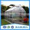 Low cost agriculture polycarbonate tunnel greenhouse