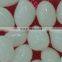 GH401-100%biodegradable & compostable recycled plastic PLA resin for injection tableware and toys