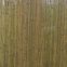 Bamboo fence with string