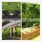 Green Wall Flower Pots