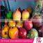 Wholesale Artificial Fruit For Decoration tropical fruits artificial fruit pomegranate for home decoration