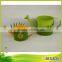 Flannelette Decorative New colored Metal Watering Can Flower Pot