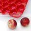 Plastic Colorful Food Tray with SGS Certificate
