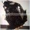Ladies Fancy Dress Fabulous Black Devil Halloween Party Wigs HPC-0079
