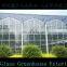 2019 glass commercial Tunnel Greenhouses for sale