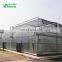 Low Price Plastic Film Greenhouse Equipment /Greenhouse Agriculture