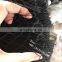 2017 HDPE Black Bird Netting For Fruit Orchard