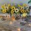 Best Quality String Light 10 Led Fairy Light Heart String Light