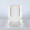 Disposable Biodegradable 9*9 Take away Sugarcane container