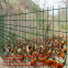 PVC-Welded wire mesh/flower and wood fences/ vinyl coat wire mesh/ plastic wire mesh