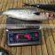 Frozen Grey Mullet Whole Round 600-1000g