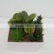 Best selling series artificial plants artificial succulent/cactus arrangement wholesale for decorating