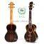 Huizhou China wholesale ebony Aquila strings black ukulele concert