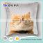 New Products 100% Cotton Cushion Pillow