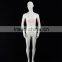 Fashion leisure fiberglass mannequins