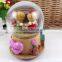 home decoration Creative gifts Teddy bear snow globe