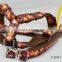 Modern pet dog collar lead harness