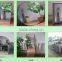 Yujing 2-8mm Popular Silver Mirror
