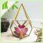 A~~ Air Plant Holder Sculpture Terrarium: big diamond shape geometric hanger planter>< air plant glass geometric terrarium gold