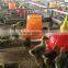China supplier manufacture poultry feeders and drinkers/ automatic chicken feeder