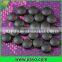 great quality and high purity Metal Germanium grain