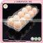 10 Holes Cheap Price Transparent Eco-friendl plastic Egg Tray