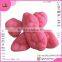 Clouds Shape Sugar Coated Gummy Candy