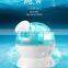 wholesale hot product Electric cold mini facial steamer